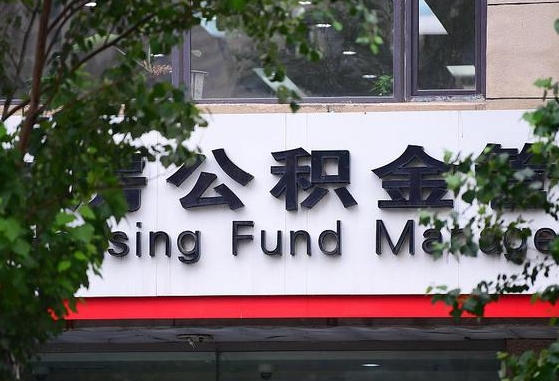 莘县公积金离职封存是什么意思（公积金 离职 封存）